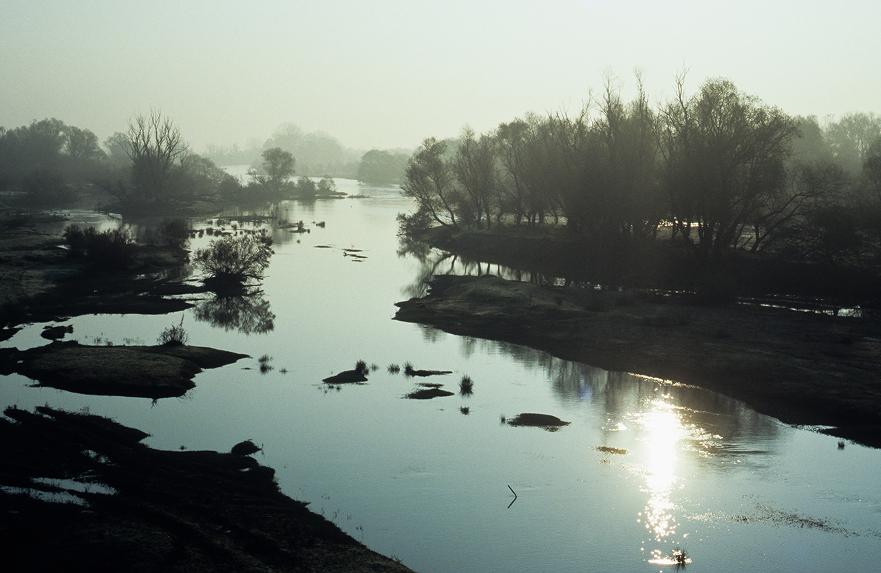 Παραποτάμιο Δάσος Αξιού
