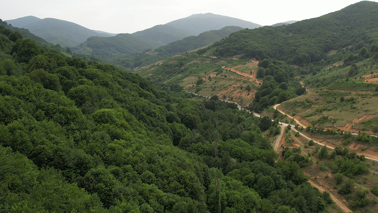 Δάση Βιτσίου