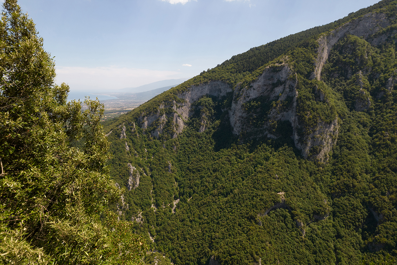 Δάση Ελικώνα