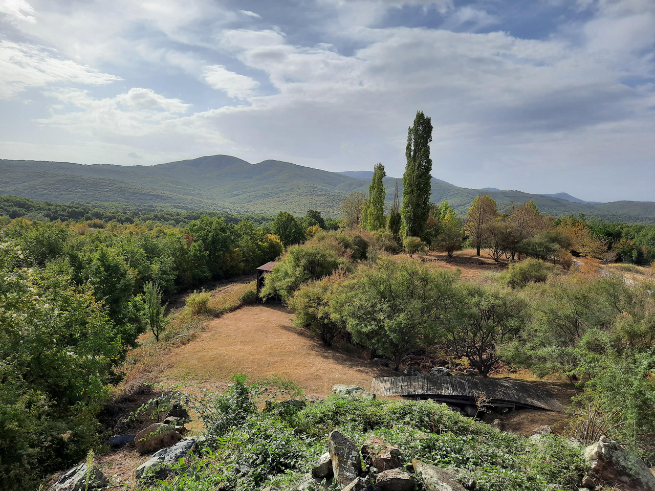 Δάση Κρουσσίων