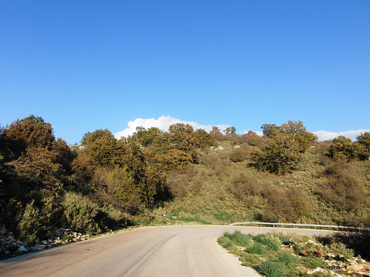 Δάση Ξηρόμερου