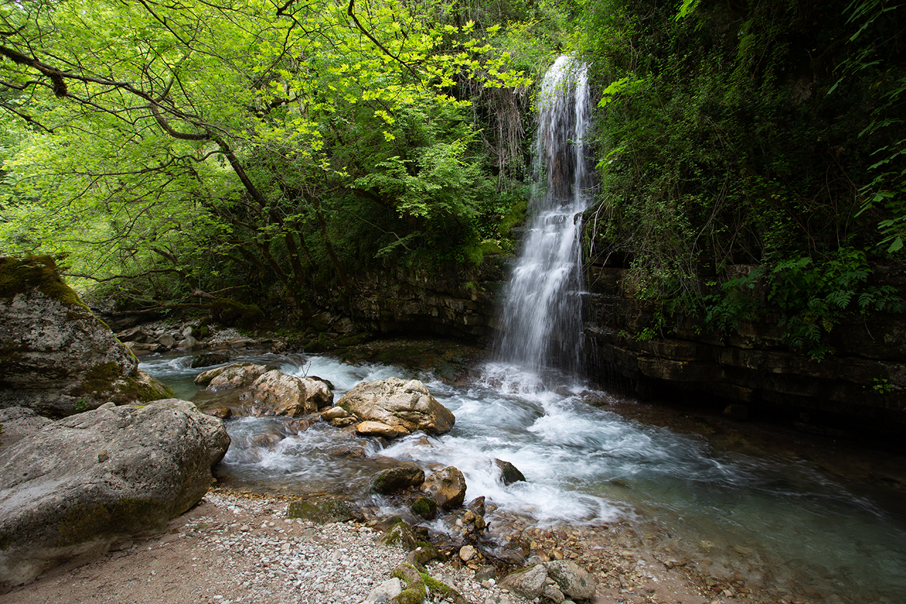 Δάση Νότιας Πίνδου - Ασπροπόταμου