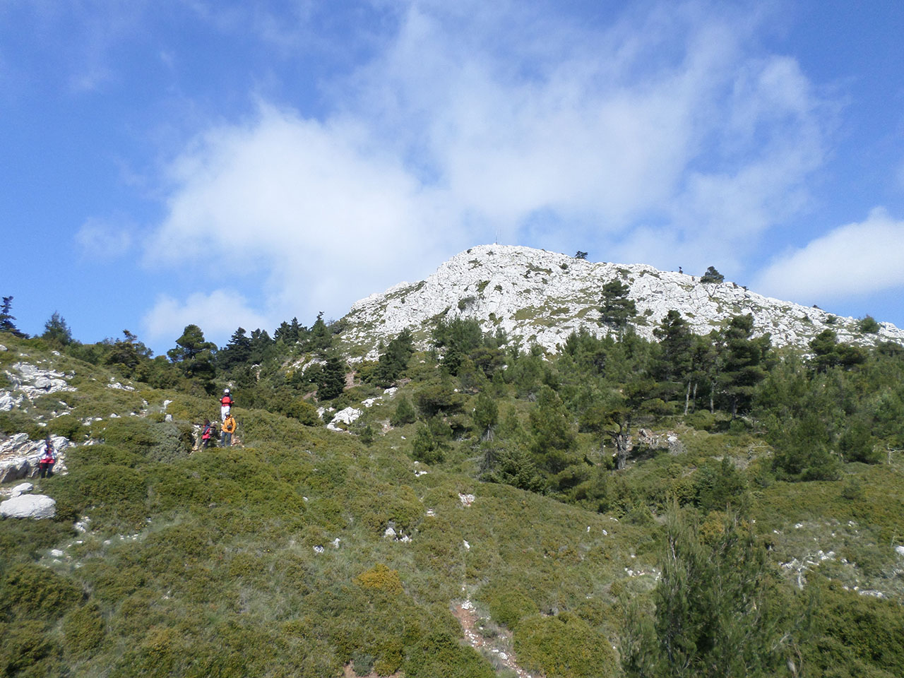 Δάση Γεράνειων